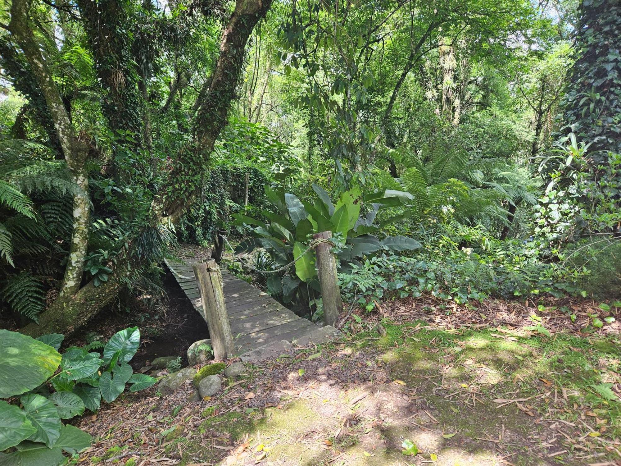 Cantinho Das Oliveiras. Gramado Dış mekan fotoğraf
